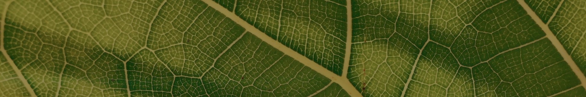 ExpertaSpain is committed to sustainability